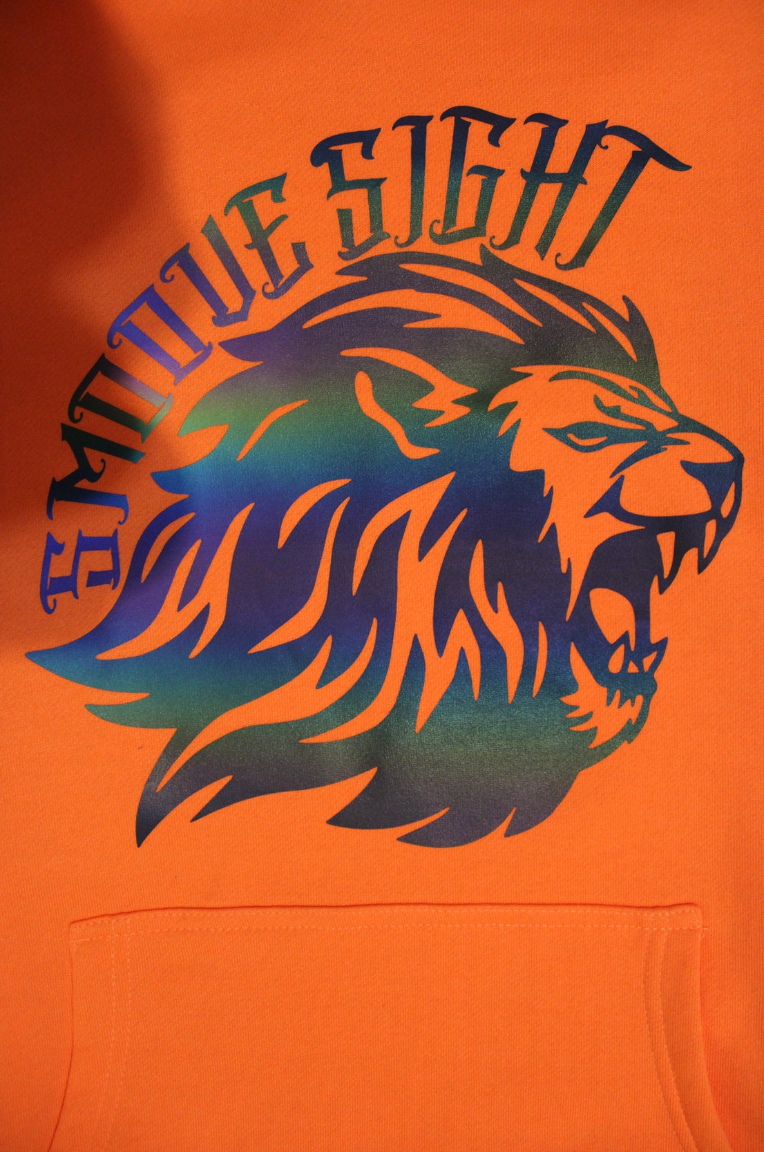 Eye Of The Lion Hoodie